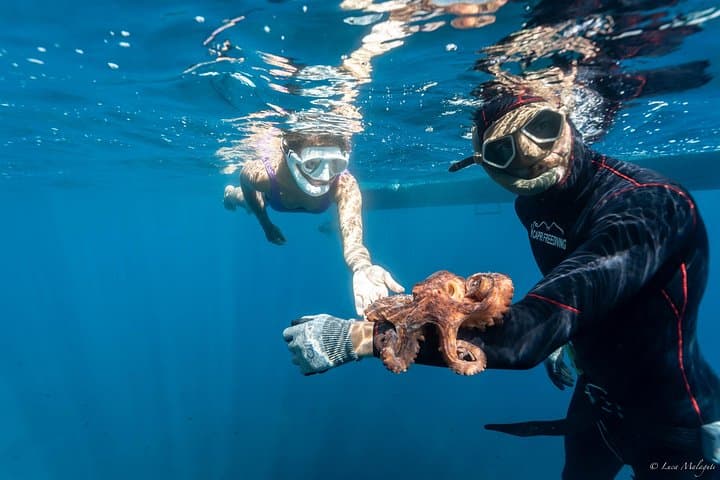 Spearfishing Adventure on the Amalfi Coast — photo 1 of 12