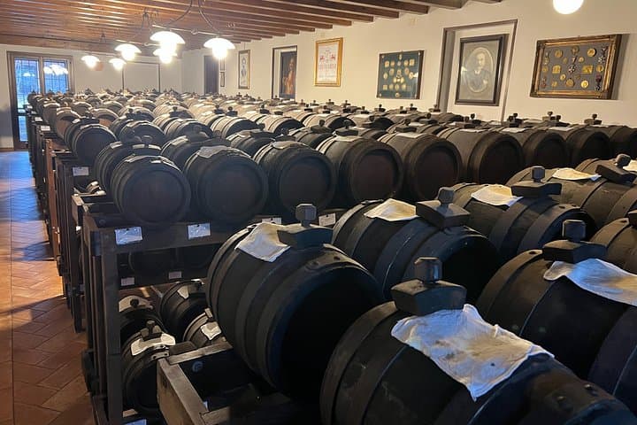 Modena Balsamic Vinegar Experience – Guided Tour and Tasting — photo 1 of 6