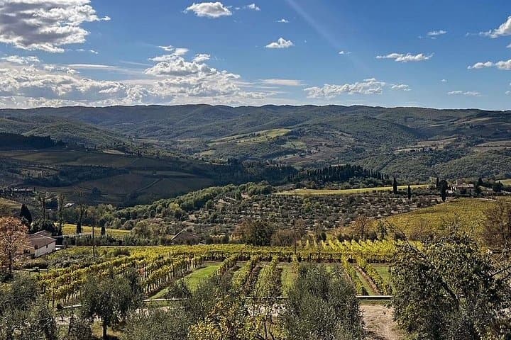 Organic Chianti Classico Wine Tour Tastings with Lunch Included — photo 1 of 37