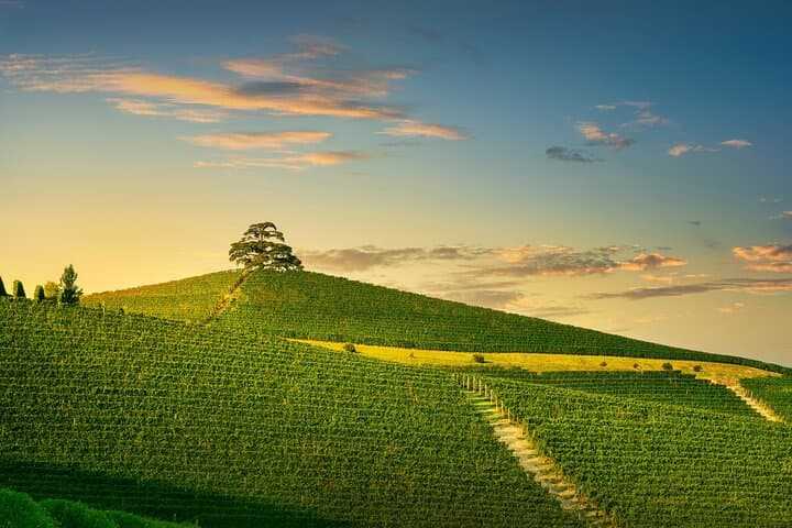 Private Barolo Wine Tour from Milan — photo 1 of 15