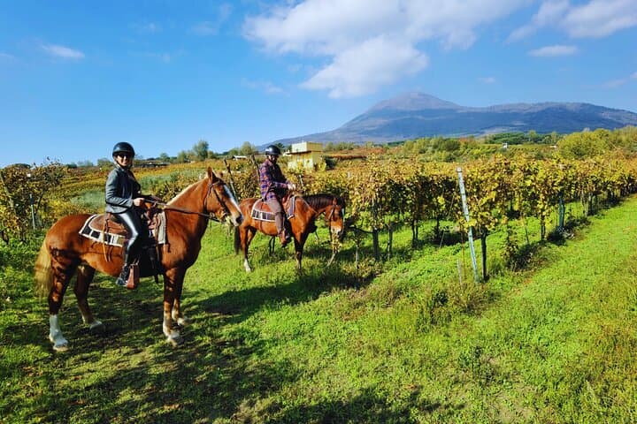 Horseback Riding on Mt. Vesuvius with Wine Tasting and Dinner — photo 1 of 15