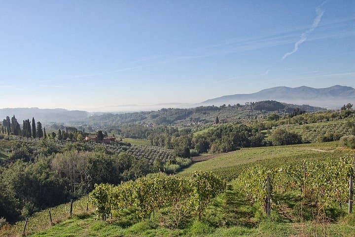 Self Guided Bike Tour from Lucca to Montecarlo Wine Roads — photo 1 of 6