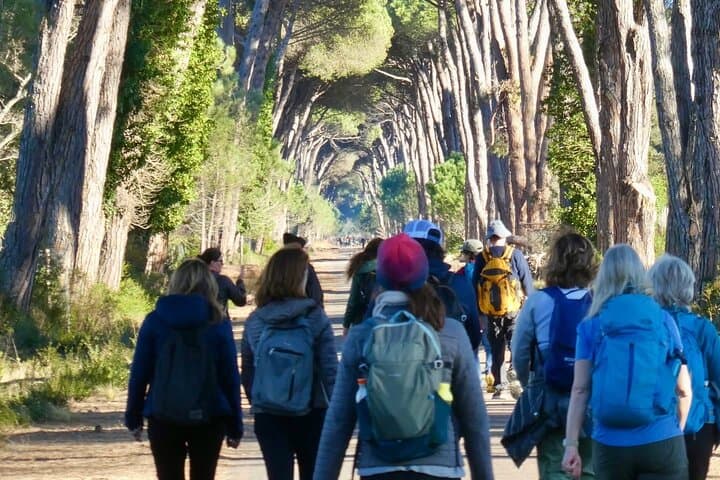 Hike in the San Rossore Park — photo 1 of 9