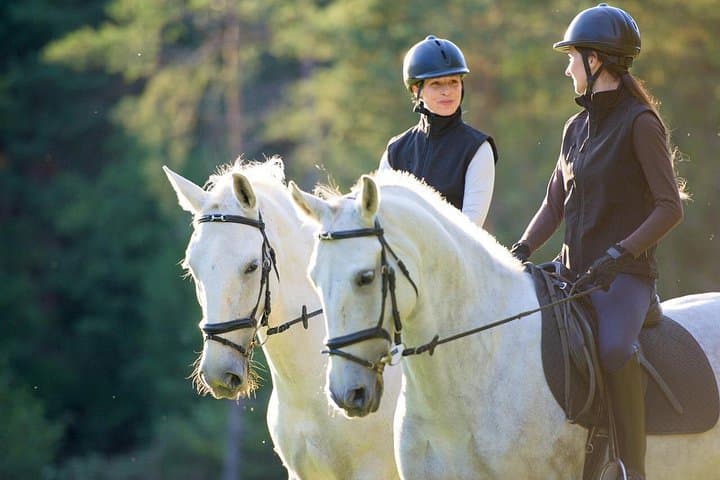 Exclusive Horseback Experience and Wine Tasting — photo 1 of 9