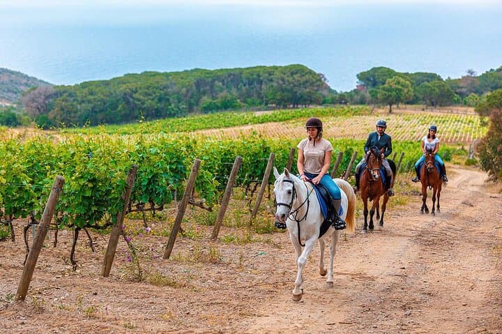 Private Horseback Riding and Wine Tasting Experience — photo 1 of 7