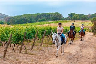 Private Horseback Riding and Wine Tasting Experience