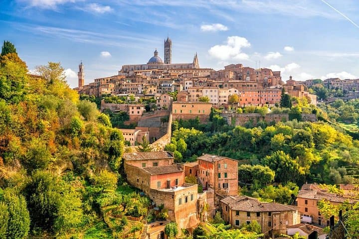 Wine Experience in Montalcino and Siena — photo 1 of 10