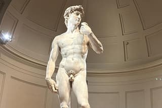 Accademia Gallery Private Guided tour with local