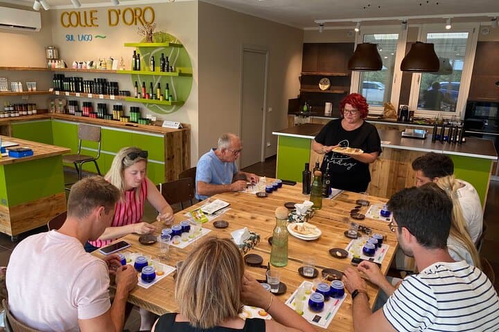 Panoramic Lake Garda Tour and Garda DOP Olive Oil Tasting — photo 1 of 10