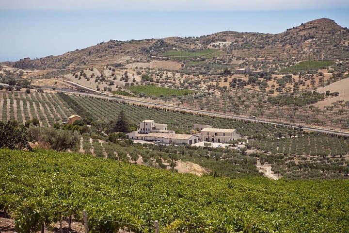 Olive Grove Tour & Oil Tasting at a Historic Mill Near Agrigento — photo 1 of 10