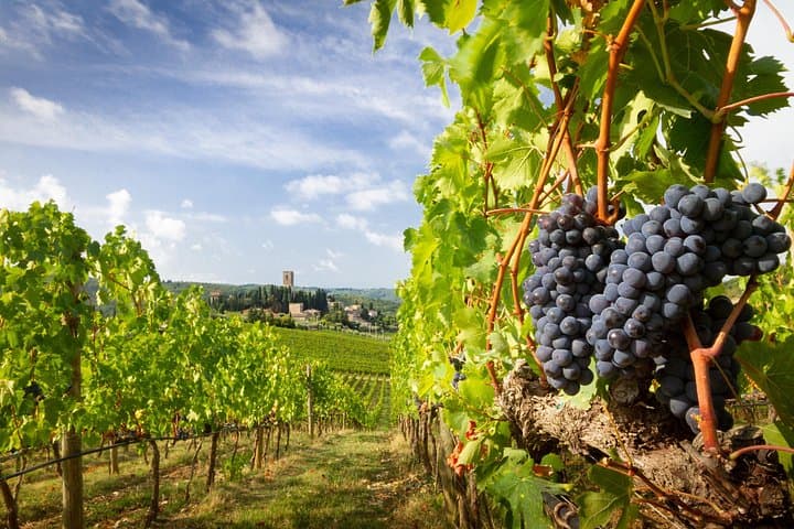 From Florence Tuscany Experience to Montepulciano and Montalcino — photo 1 of 7