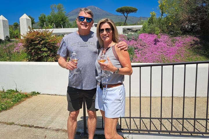 Private Pompeii and Vesuvius with Wine Tasting and Full Tickets — photo 1 of 18