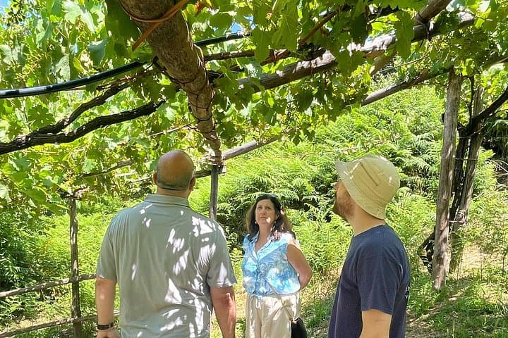 Amalfi Coast & Local Wine Tasting Experience from Naples — photo 1 of 25