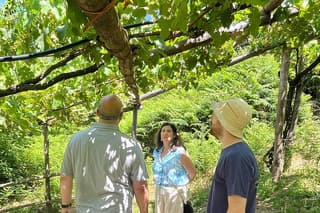 Amalfi Coast & Local Wine Tasting Experience from Naples