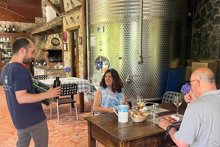 Amalfi Coast & Local Wine Tasting Experience from Salerno — photo 1 of 27