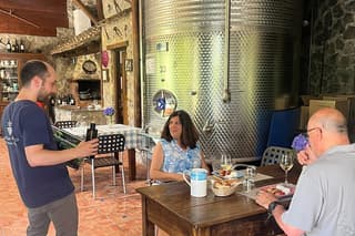 Amalfi Coast & Local Wine Tasting Experience from Salerno