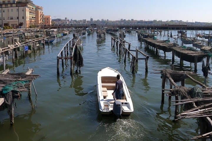 Chioggia : Aquaculture Secrets Tours of the Lagoon — photo 1 of 12
