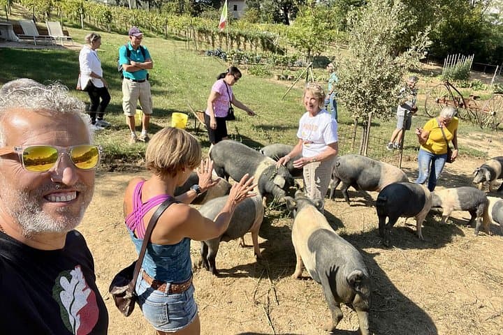 Visit of the Pig Farm in Montepulciano with Lunch — photo 1 of 7