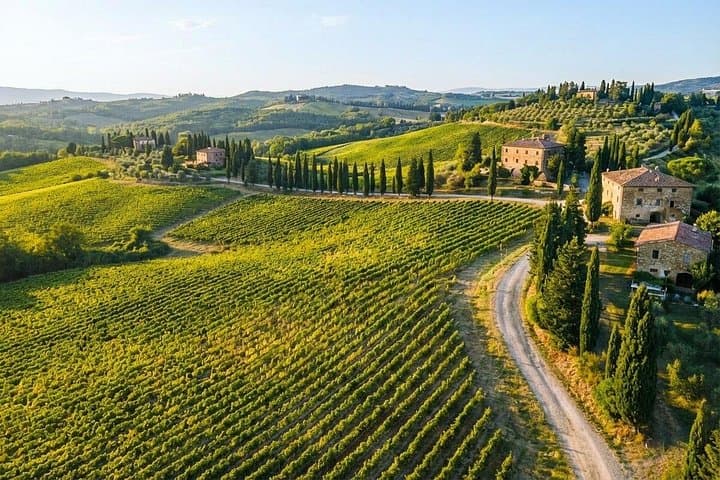 "Ramble Through The Rolling Hills Of Chianti" with lunch & Wine Tastings — photo 1 of 41