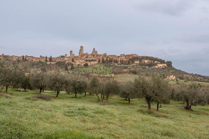 Shoretrip from Livorno to Siena & San Gimignano Lunch and Wine — photo 1 of 4