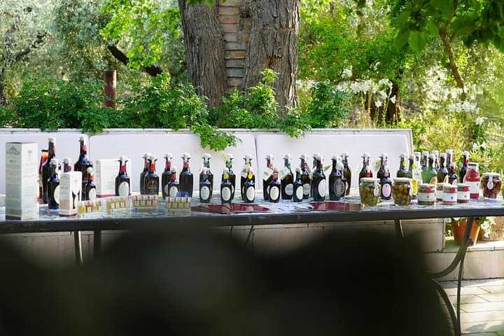 Tasting of high quality extra virgin olive oils — photo 1 of 27