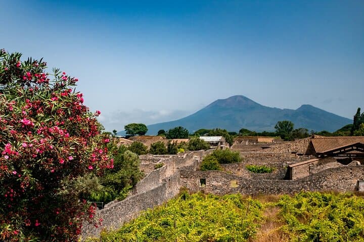 Pompeii, Vesuvius Hike and Wine Tasting with Lunch from Salerno — photo 1 of 10