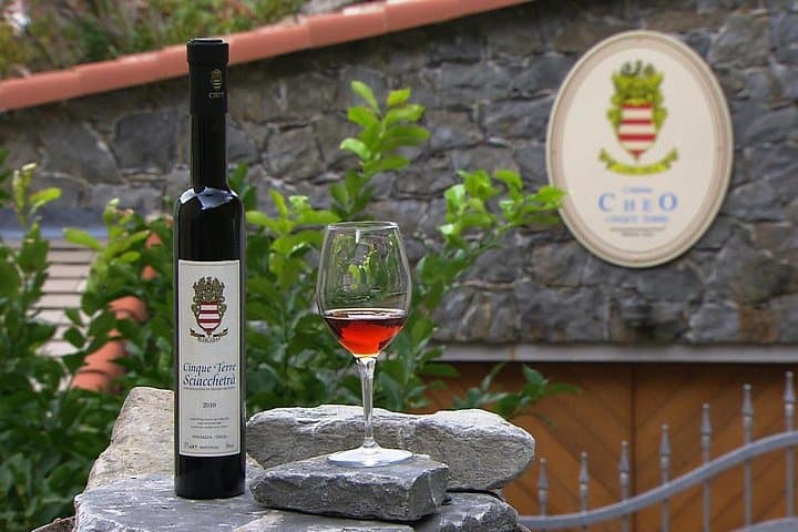 Wine Tasting Experience at Torre Bertram — photo 1 of 10
