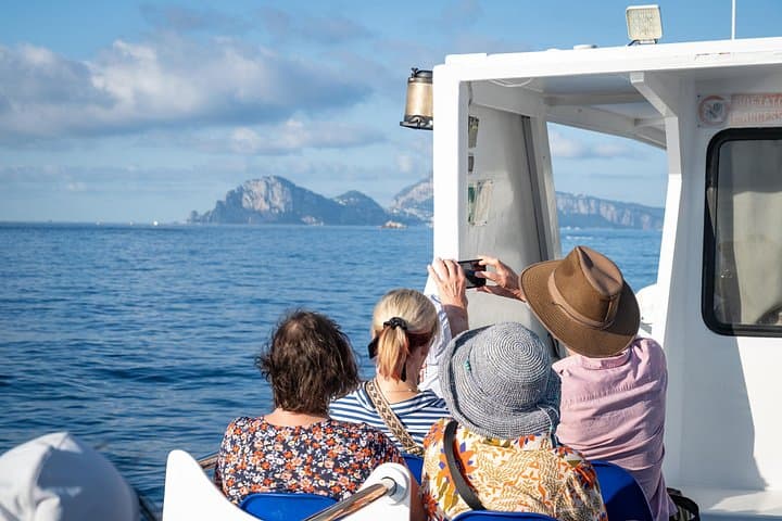 Capri, Anacapri and Grottoes Full Day Island Escape from Sorrento — photo 1 of 13