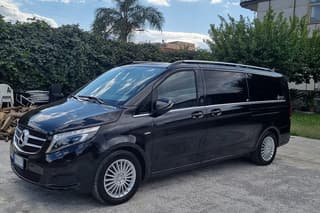 Private Transfer from Pompeii to Ercolano or viceversa
