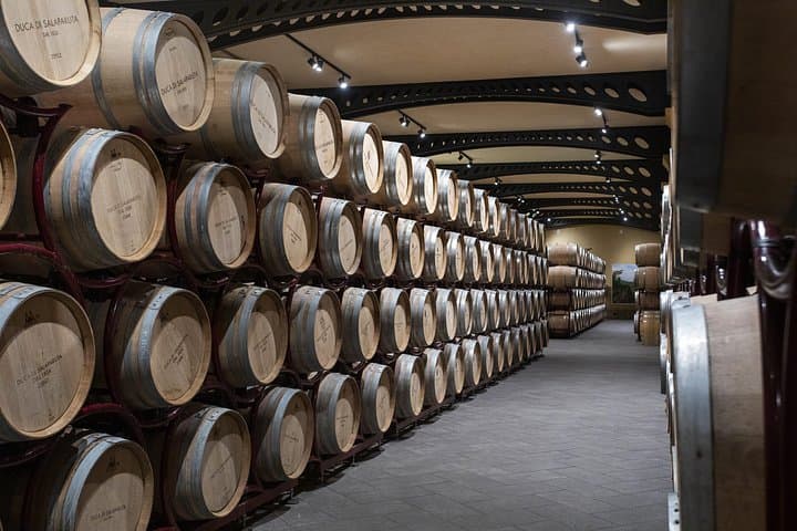 Guided tour and tasting at Duca di Salaparuta Winery — photo 1 of 7