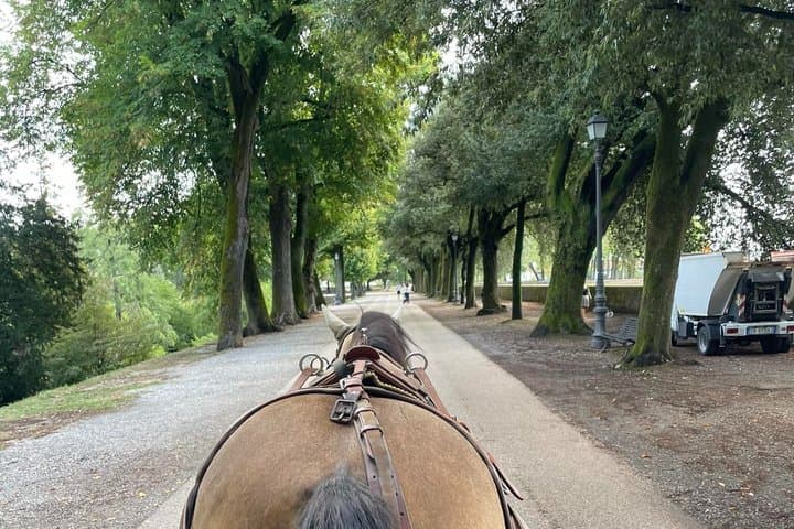 1-Hour Carriage Tour – Historic Center and Renaissance Walls — photo 1 of 3
