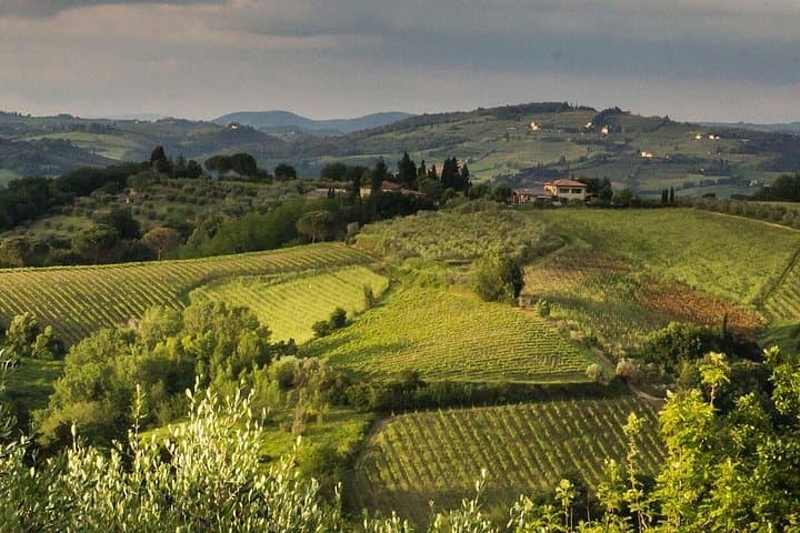 Tuscany Truffle Hunt: A Culinary Adventure — photo 1 of 5