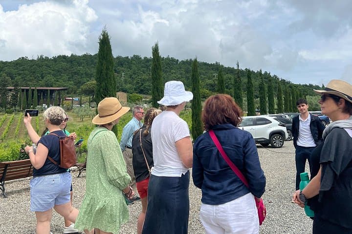 3 Cellars in Chianti with Visits, Wine Tastings, Lunch&Transfer — photo 1 of 7