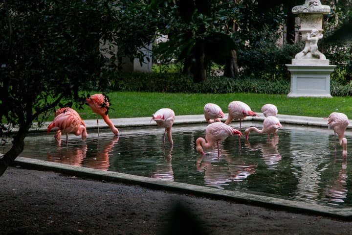 The Secret Milan – An Exclusive Stroll Beyond the Beaten Path — photo 1 of 10