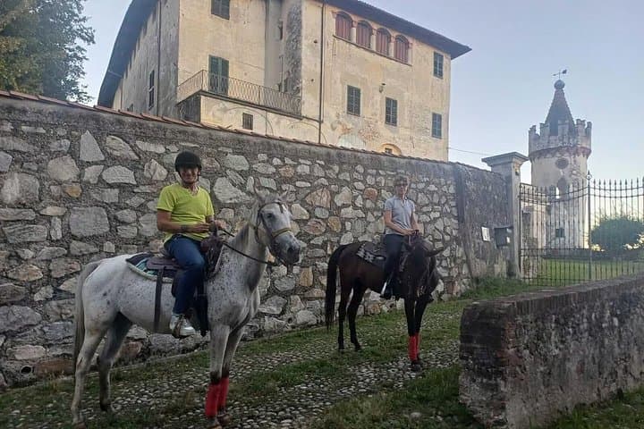 Turin : Horseback riding on the hills of Albiano d’Ivrea — photo 1 of 7