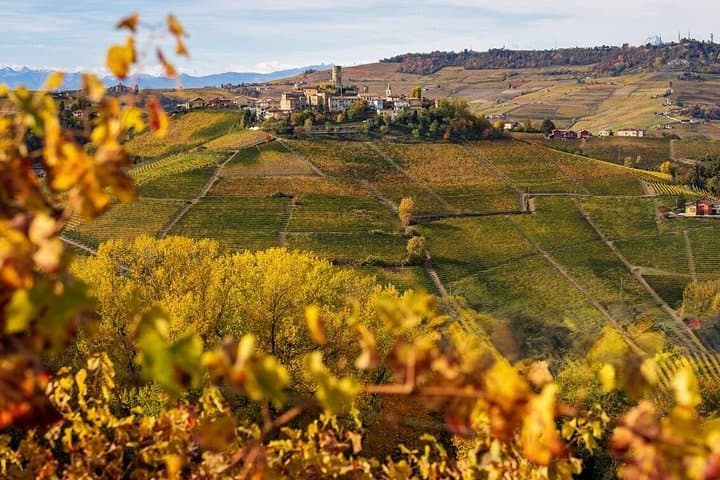 From Milan: Barolo Vineyards & UNESCO Wine Cellar Experience — photo 1 of 13