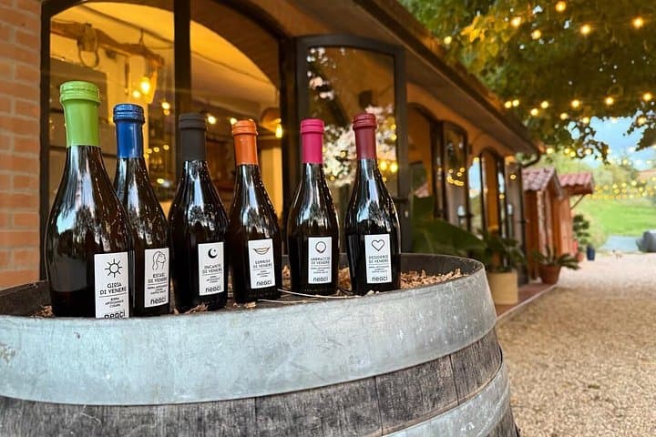 Tasting of Craft Beers in Tuscany — photo 1 of 4