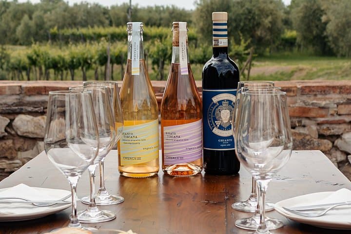 Tasting of 3 Organic Wines and Oil of Own Production — photo 1 of 11