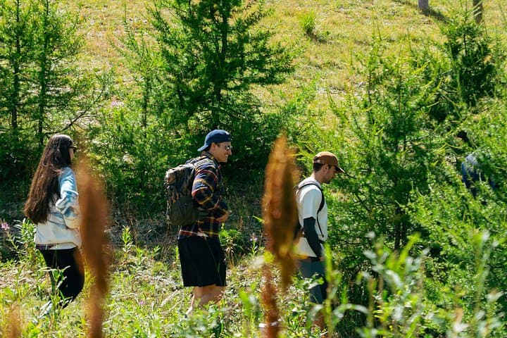 Beyond the Trail Trekking where the mountain comes to life — photo 1 of 4