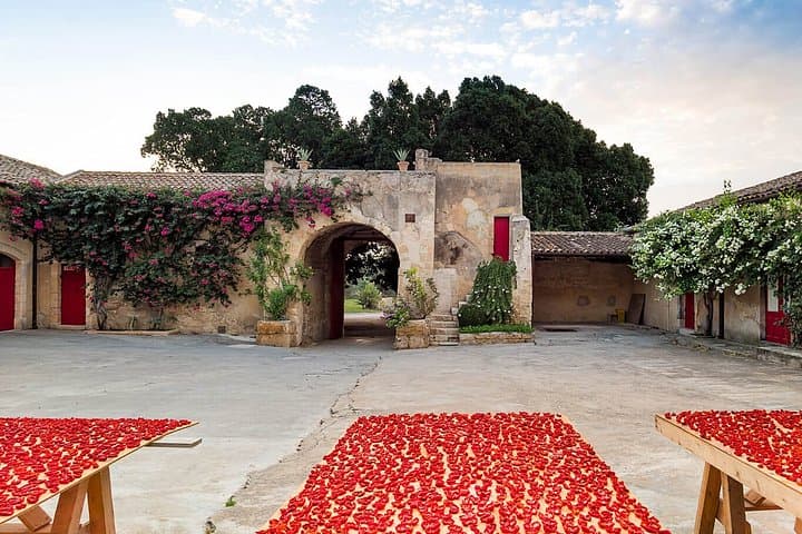 Noto Baroque and Tasting in Ancient Palmento among Vineyards — photo 1 of 15