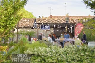 From Verona: trip into the world of Natural Wines & organic lunch