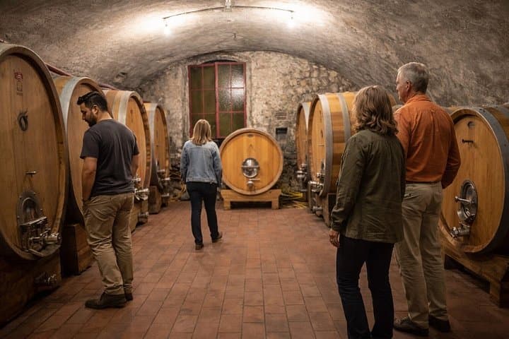 Amarone and Valpolicella Winery Tour with Transport from Verona — photo 1 of 8