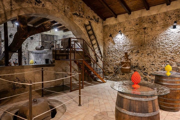 Ancient Palmento Natural Wines Experience — photo 1 of 8