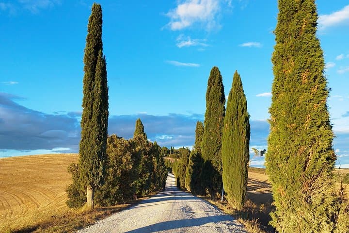 Excursion on the Crete Senesi of Leonina — photo 1 of 10