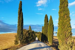 Excursion on the Crete Senesi of Leonina