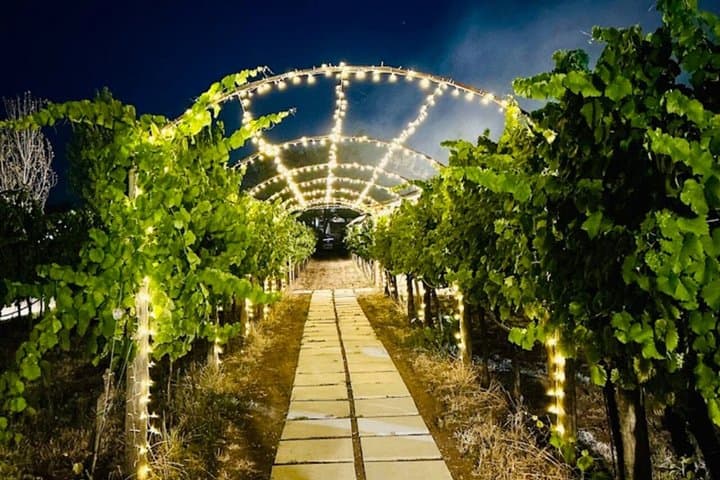 Wine Tasting and Guided Visit to the Vineyard and Cellar in S. Maria Imbaro — photo 1 of 21