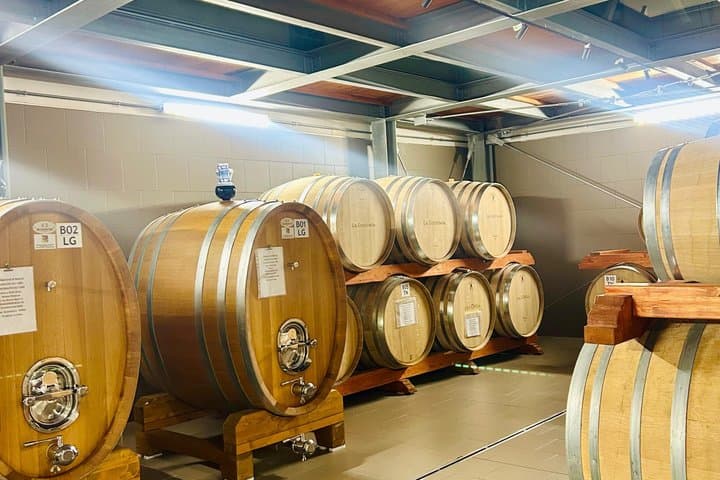 VIP tour of Etna craters wine tasting and lunch in the cellar — photo 1 of 28