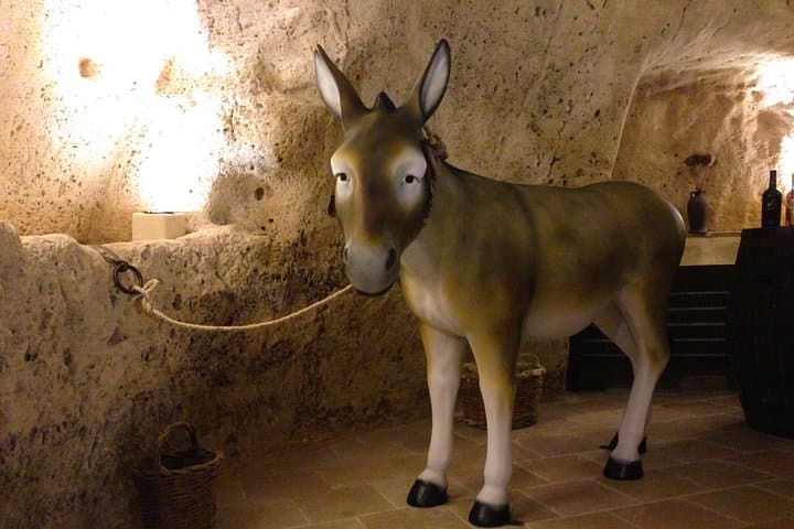 Matera : Local Products and Wine Tasting in Caves in the Sassi — photo 1 of 49