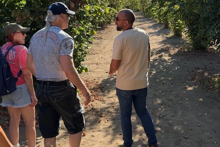 Etna food tasting and lunch in a winery from Taormina — photo 1 of 23