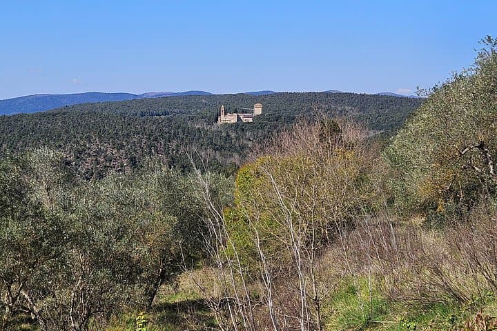 Excursion on the Hill of Belcaro a stone's throw from Siena — photo 1 of 5